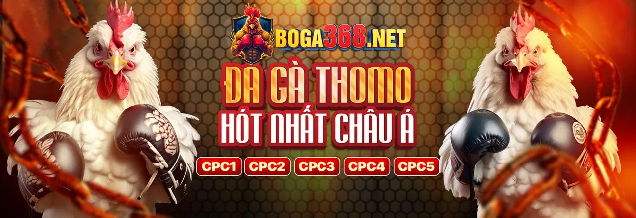 Đá Gà Trực Tuyến Tại luck8882 casino